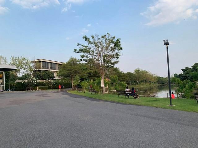 ขายที่ดิน 74 ตรว ซอยพรีเมียร์ 1 แยก 14 ติดสวนวนธรรม สวนสาธารณะ 38 ไร่ ใกล้พาราไดซ์พาร์ค ใกล้สวนหลวง 4