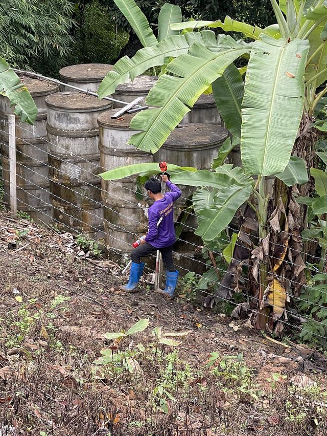 ขายที่ดินสายแม่ริม-ม่อนแจ่ม เชียงใหม่ 3