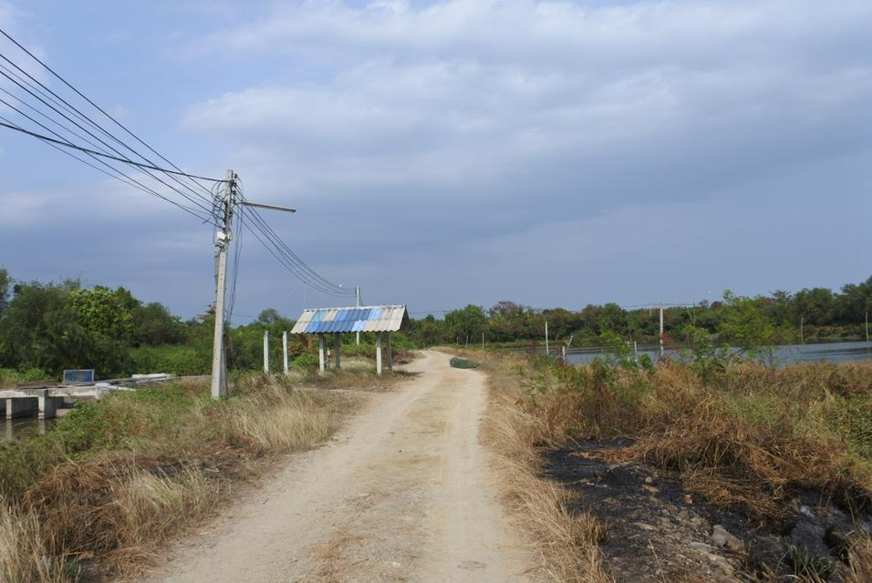 ขายที่ดินแปลงใหญ่ เพชรบุรี 200 ไร่ 7
