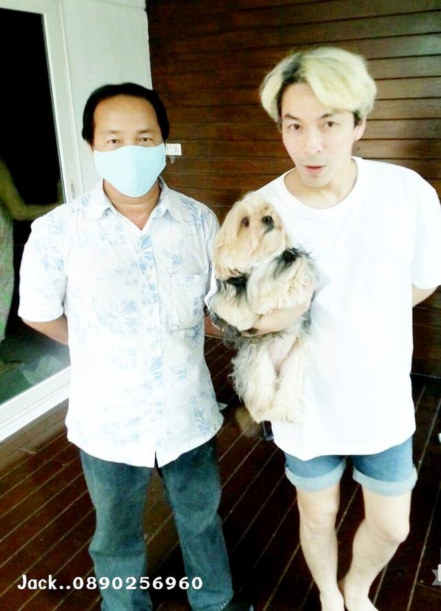 รับจับสุนัขผสมพันธ์ทุกสายพันธ์