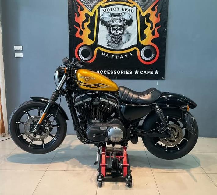 Harley Davidson Iron มอเตอร์ไซค์ราคาถูก 2