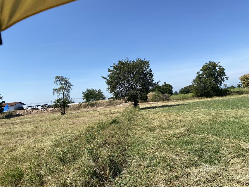 ที่ดินเปล่า จังหวัดกาญจนบุรี 9