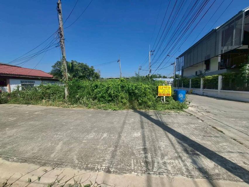 ขายที่ดินเปล่า แปลงมุม ถมแล้ว แถววัดไพร่ฟ้าเลียบคลองบางเดื่อ 2 ซอยอยู่สุข 2