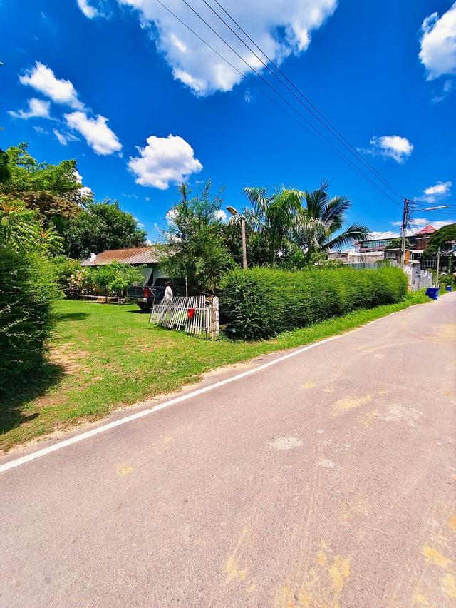 ที่ดินพร้อมสิ่งปลูกสร้าง ต.ป่าตัน อ.เมืองเชียงใหม่ 16