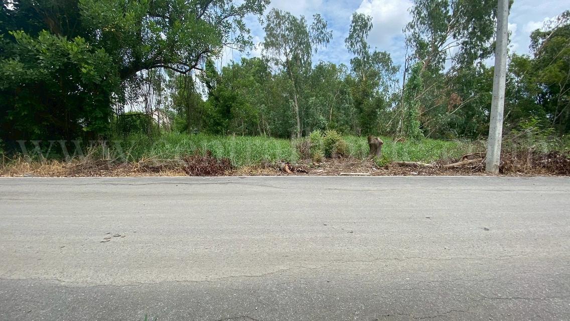 ที่ดินเปล่า 285 ตร.วา ซอยบงกช 55 คลอง 2 ปทุมธานี 8