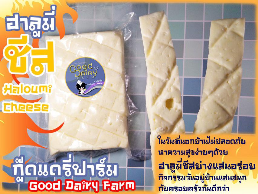 ฮาลูมี่ ชีส Haloumi Cheese by Good Dairy Farm  3