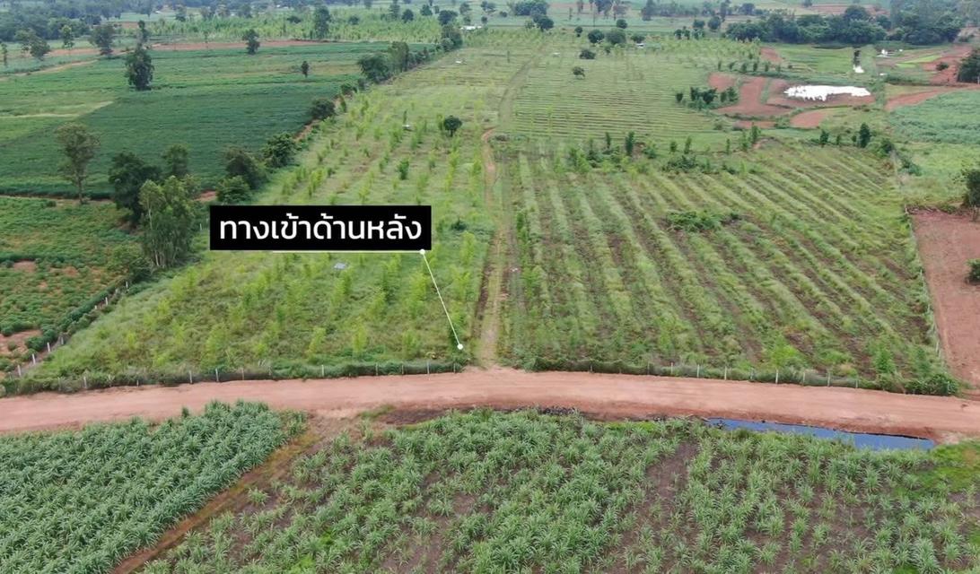ขายที่ดิน 93 ไร่ (มีโฉนดครุฑแดง) — ไร่ละ 120,000 บาท จ.ขอนแก่น