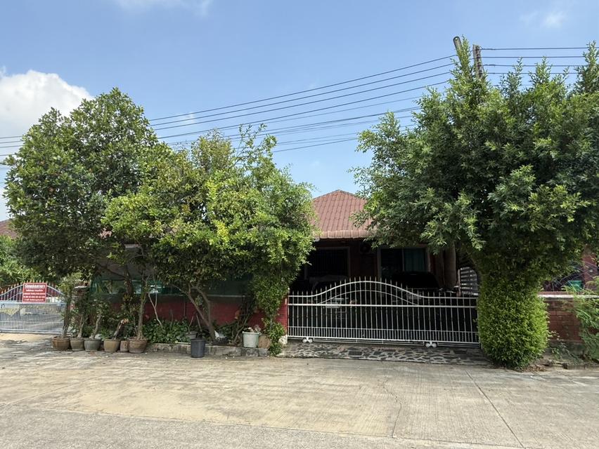 บ้านเดี่ยวยกสูง 3ห้องนอน 2ห้องน้ำ 3ที่จอดรถ บ้านน่าอยู่เงียบสงบ ถนนหน้าบ้านกว้างขวา 4