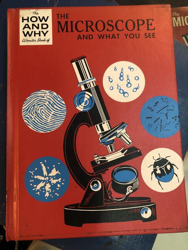 How and What : Microscope and What You See