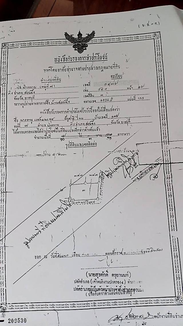 บ้านพร้อมที่ดินสวนขนุน โดมปลูกต้นพลู และบ่อเลี้ยงปลาขนาดใหญ่ 1