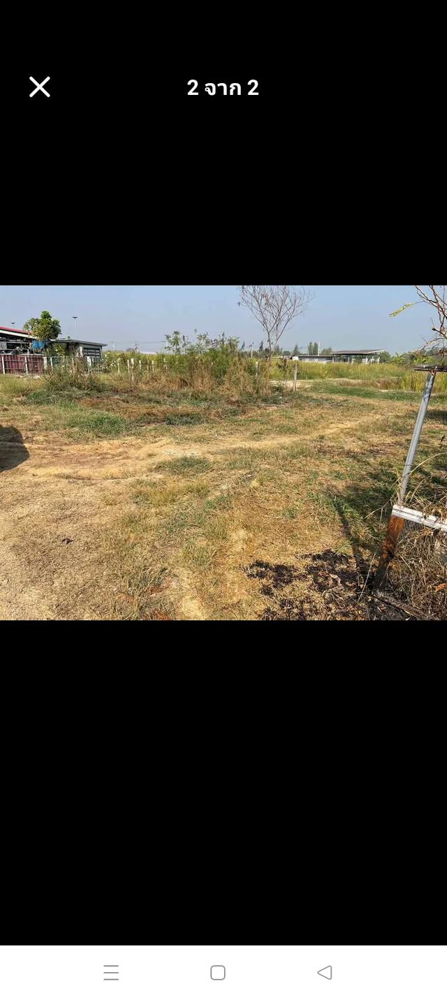 ขายที่ดินเปล่า คลองเก้า หนองจอก 1