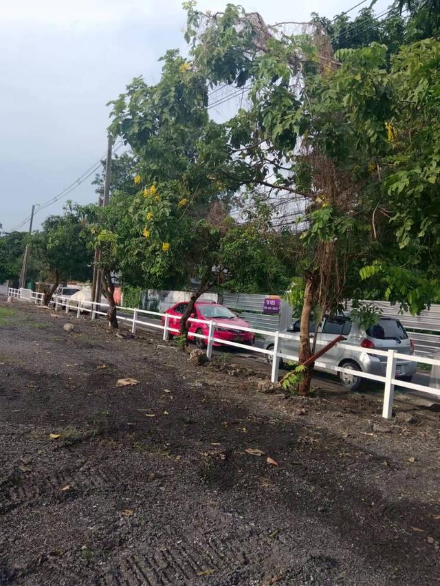 ขายที่ดินทำเลดี ถมแล้ว ติดถนนซอยลาดพร้าว38 5