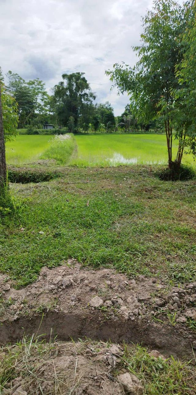 ขายที่ดิน 1 ไร่ ใกล้คำชะโนดจังหวัดอุดร 4