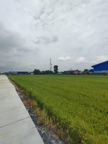 ขายที่ดิน 5 ไร่ (แบ่งจาก30ไร่) เขต EEC ถ.ตลาดปองพล เมืองฉะเชิงเทรา ใกล้ตลาดปองพล (ผังสีม่วงจุดสีขาว) 6