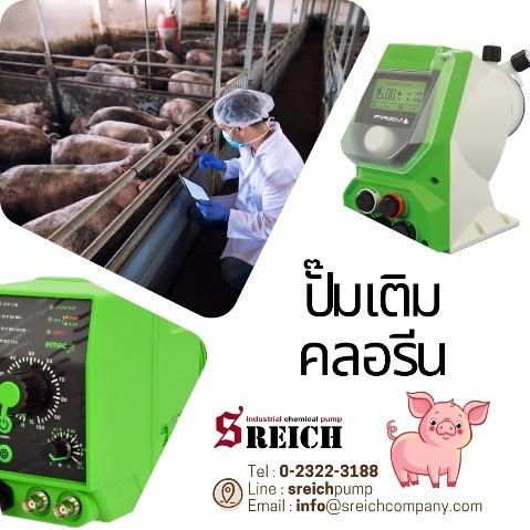 ปั๊มเติมคลอรีนปรับสภาพน้ำ เคล็ดลับเฉพาะของเกษตรกรทำฟาร์มเลี้ยงหมู 1