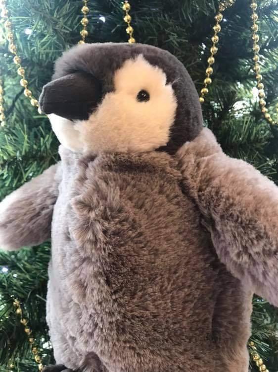 Jellycat Percy Penguin 3