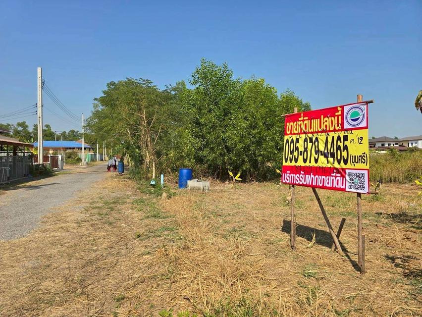 ขายด่วนที่ดิน 63 ตรว ติดถนนสาธารณะ ประชาสำราญ1 แขวงคลองสิบสอง เขตหนองจอก กทม. 1