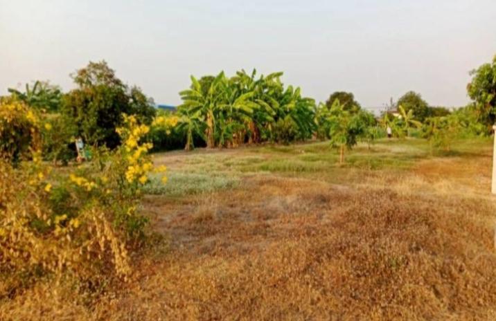 ให้เช่าที่ดินเปล่าถมแล้ว 226ตารางวาติดแม่น้ำน่านวิวสวย 2