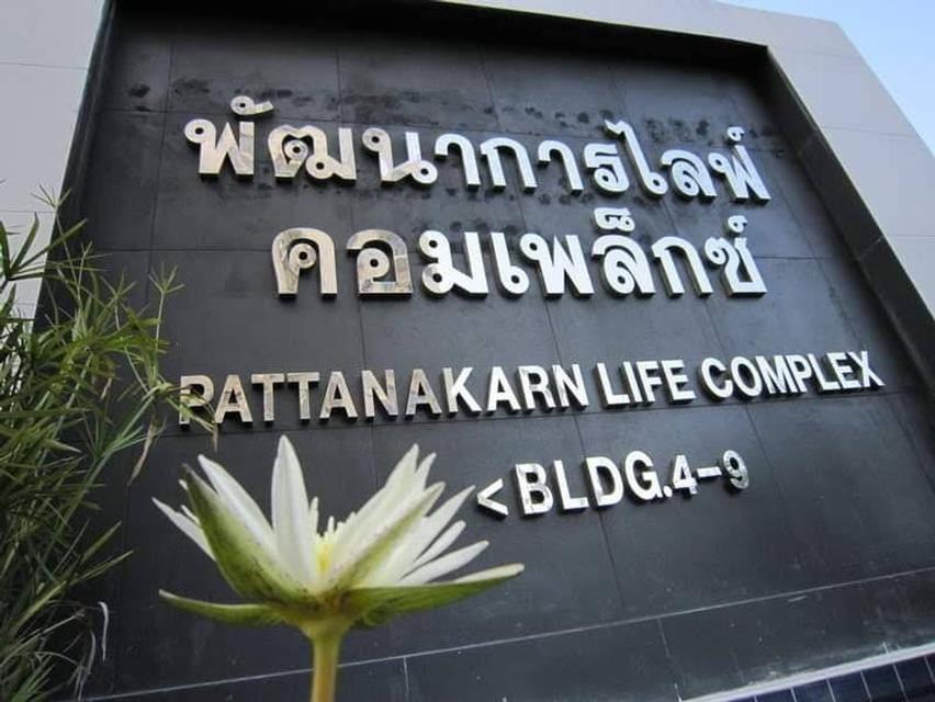 ให้เช่า คอนโด พัฒนาการไลฟ์คอมเหล็กซ์ ย่านพัฒนาการคลองตัน 7