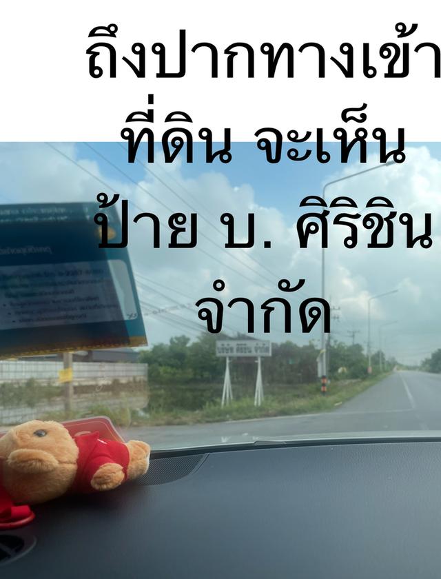 ขายที่ดินเปล่า 1 ไร่ คลอง11 โทร0814972940 5