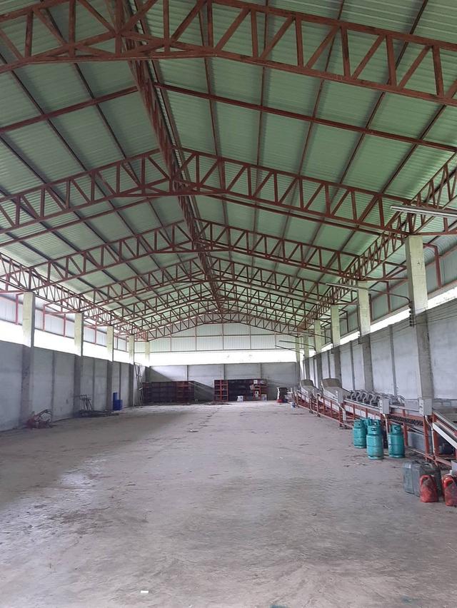 ขาย/ให้เช่าที่ดินเชียงราย 1