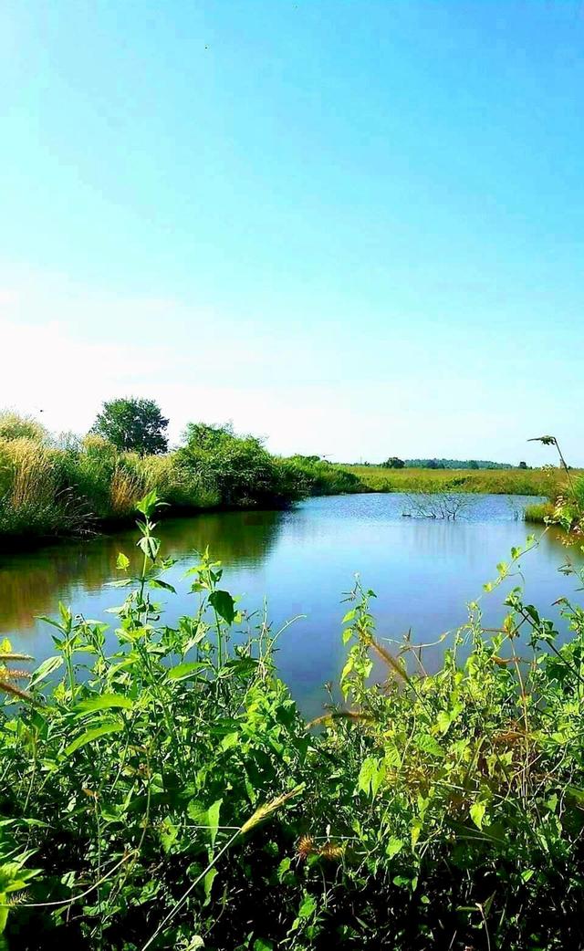 ขายที่ดินวิวภูเขา 919 ไร่  ต.บ่อพลอย จ.กาญจนบุรี 6