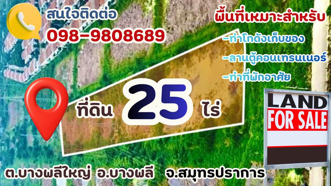 ที่ดินเปล่า 8