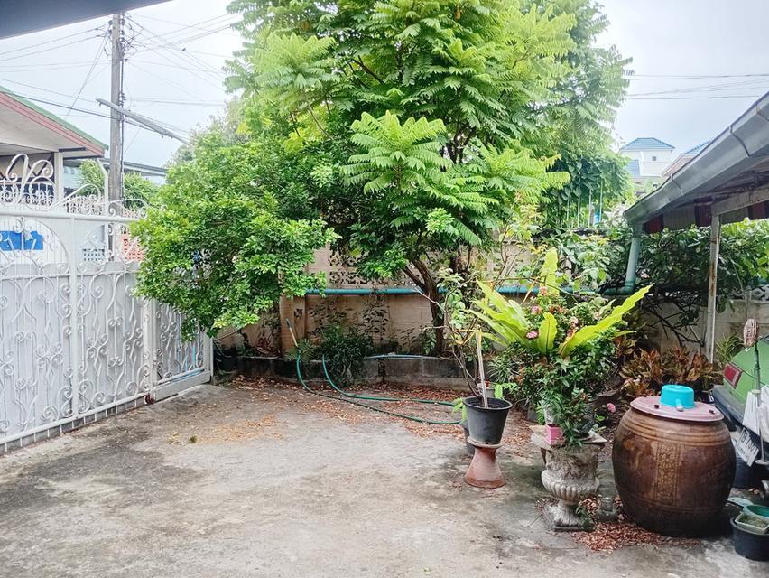 ขายถูก บ้านเดี่ยว 2 ชั้น หลังใหญ่ ซอยนวมินทร์ 70 หรือ ประเสริฐมนูกิจ 43 5