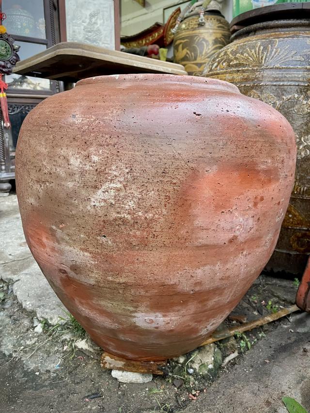 โอ่งดินแดงอยุธยา ใบใหญ่ ขนาด50ซม โอ่งดินเผาโบราณ 4