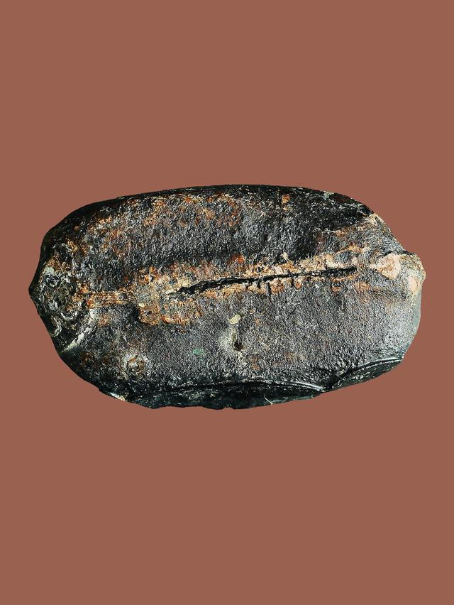 พระปิดตาเนื้อผงคลุกรัก หลวงพ่อทองสุข วัดสะพานสูง พิมพ์ชลูด...เก่า เดิมๆ 5