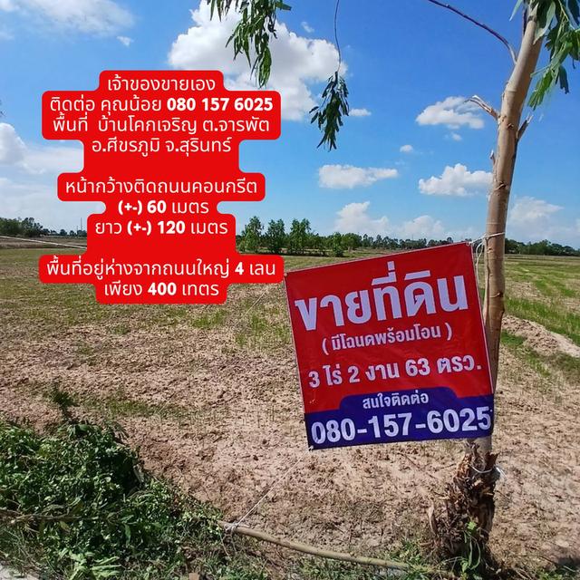 ที่ดิน เนื้อที่ 3 ไร่ 2 งาน 63 ตารางวา 1