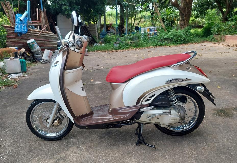scooy i