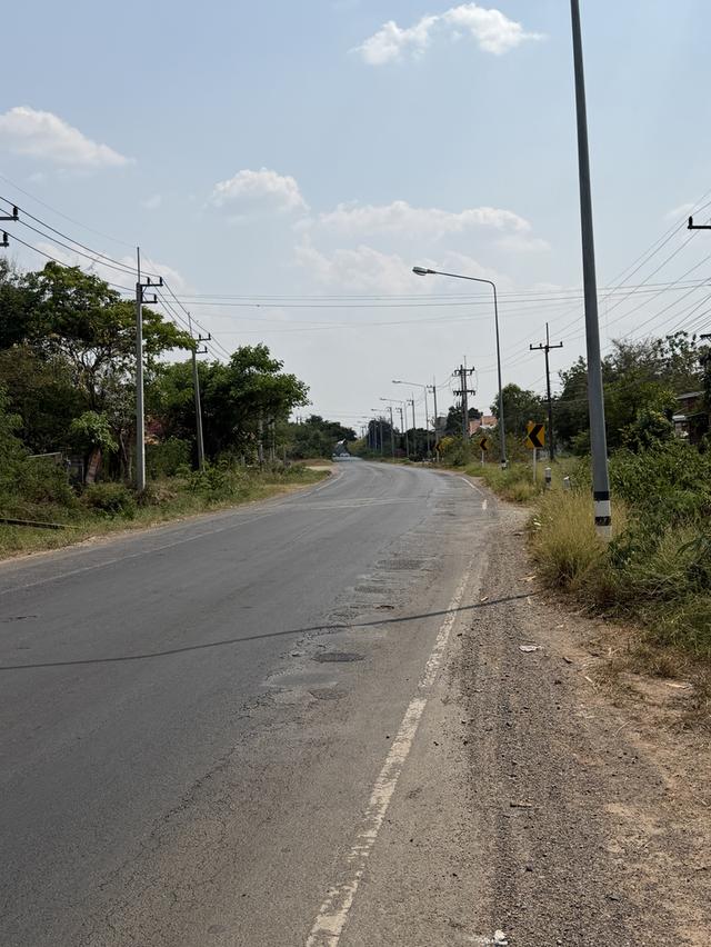 ขายที่ดิน 5.5 ไร่ แถม 1 ไร่ อำเภอโกสุมพิสัย จังหวัดมหาสารคาม 16