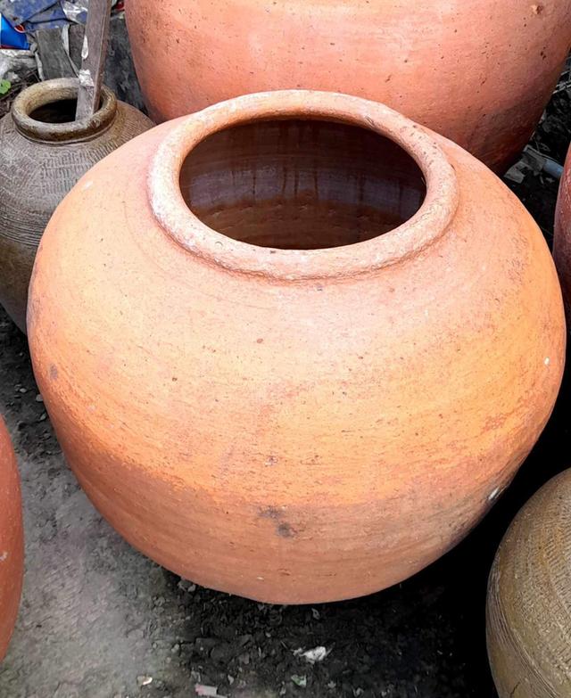 โอ่งแดง ใบใหญ่ ไซต์จัมโบ้ ขนาด70ซม โอ่งแดงอยุธยา