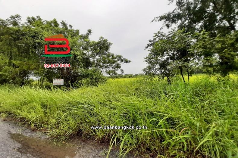 อาคารพาณิชย์ เนื้อที่ 16 ตร.ว. หมู่บ้าน เค.ซี.1 (ซอยหทัยราษฏร์ 39) ถนนหทัยราษฎร์ แขวงสามวาตะวันตก เขตคลองสามวา 1