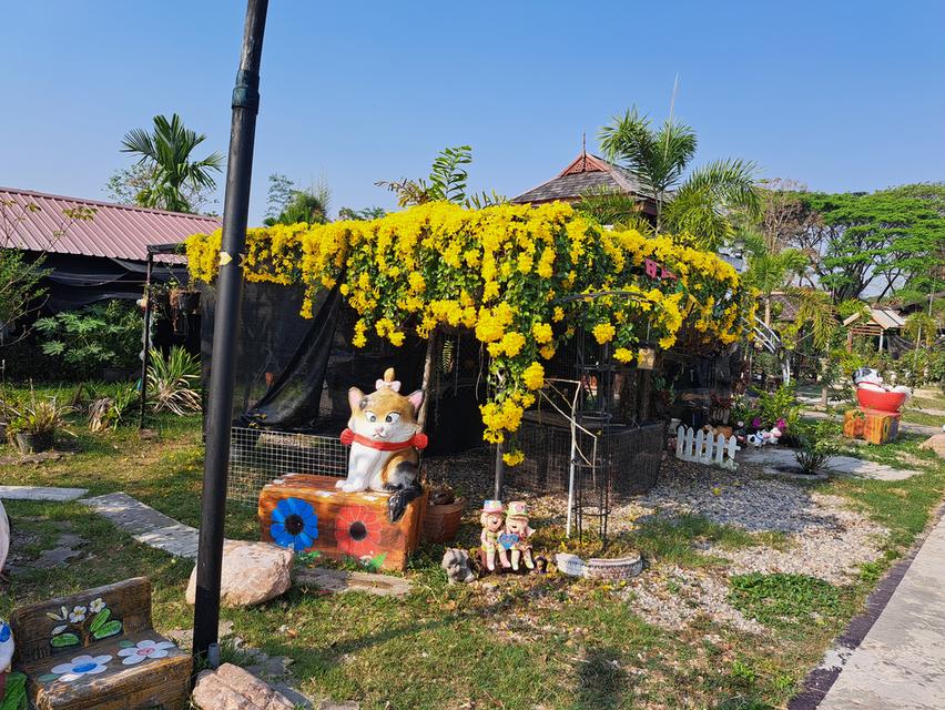 บ้านเรือนไทยสวนผลไม้รีสอร์ทส่วนตัว 11