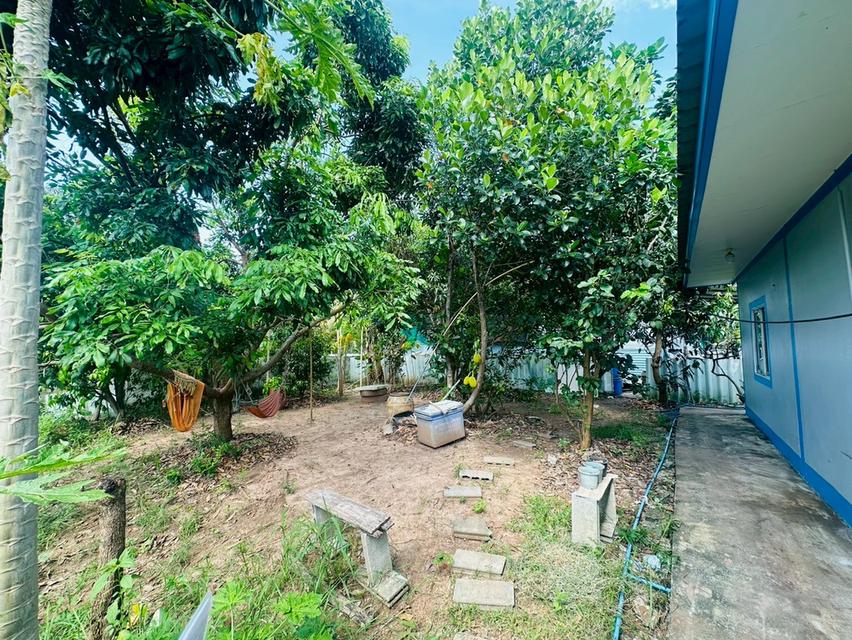 บ้านพึ่งสร้าง  ขาย"ขาดทุน "ใจกลางเมืองปักธงชัย 150 ตร.ว 2.5 ล้านบาท 4