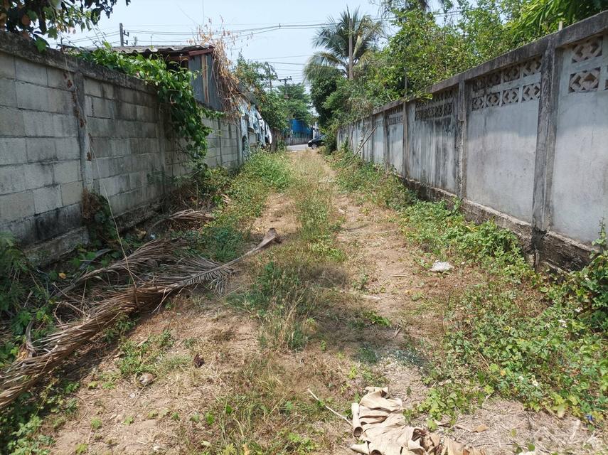 ขายที่ดิน 11ไร่95ตร.ว. ต.ป่าป้อง อ.ดอยสะเก็ด จ.เชียงใหม่ 13