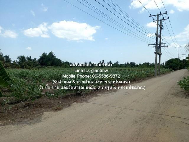 ขายที่ดินทางการเกษตร (ต้นดอกรัก) อ.นครชัยศรี นครปฐม 4-1-67 ไร่ ราคา 8,835,000 บาท 3
