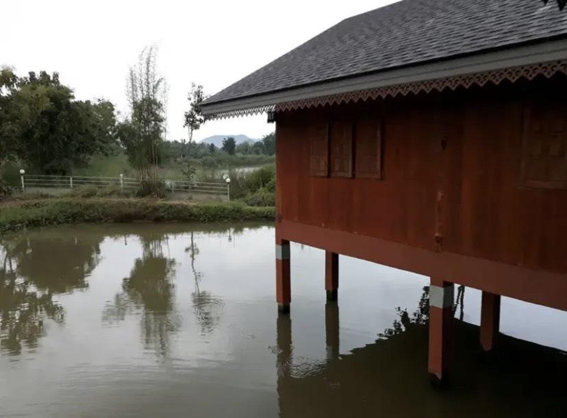 ขายที่ดินพร้อมบ้านและสวนลำไย 14 ไร่ ทำเลดีมาก อ.เมือง จ.ลำพุน 4