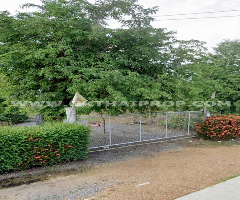 ที่ดิน ถ.ทล.ชนบทพิจิตร3016 ต.วังสำโรง อ.บางมูลนาก จ.พิจิตร 1