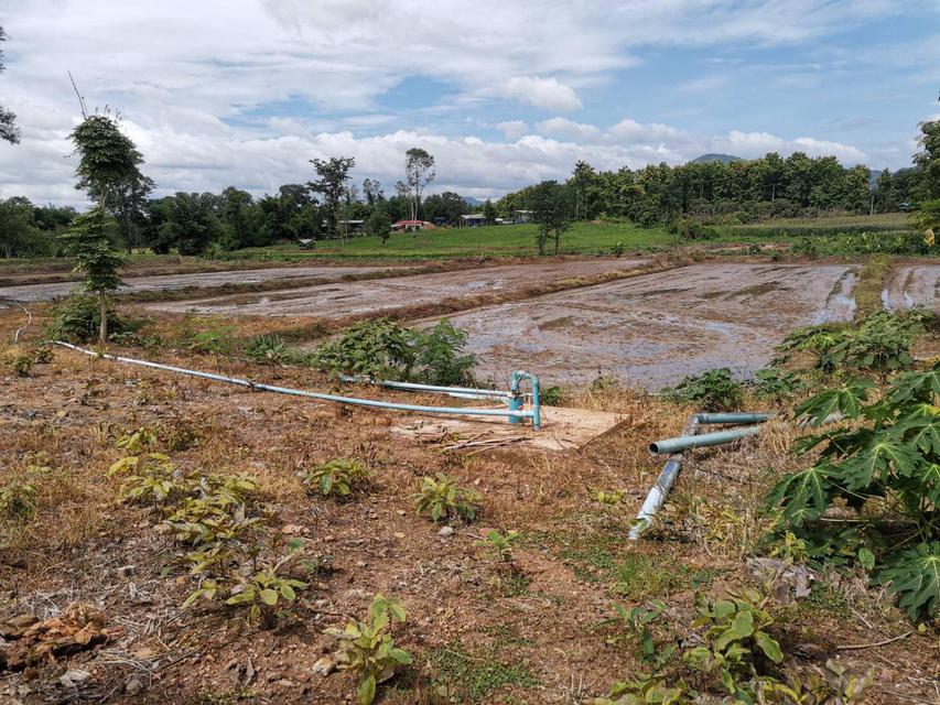 ขายที่ดินพร้อมสวนน้ำและสิ่งปลูกสร้าง ใกล้แม่น้ำโขง ใกล้จุดผ่านแดนไทย-ลาว‼️ 2