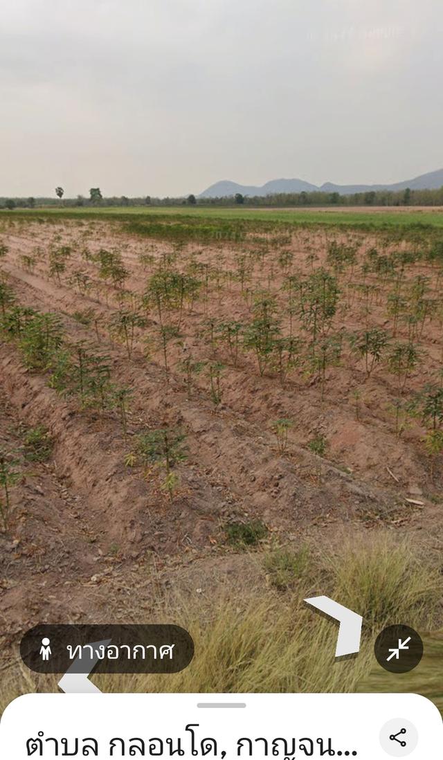 ที่ดินเปล่า ราคาถูก โฉนดไร่ละ153,000฿ 7