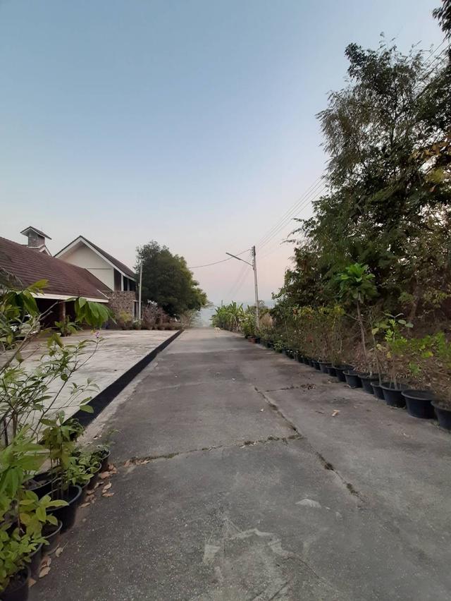 ที่ดินเชียงราย165ไร่ 5