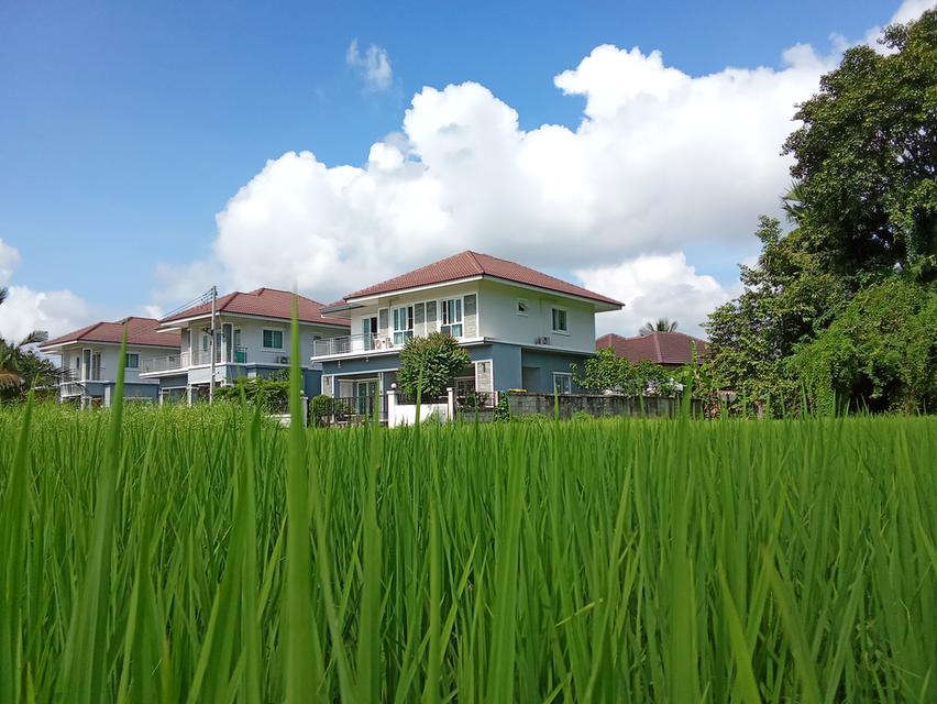 บ้านหรู 2 ชั้น สไตล์โมเดิร์น ใกล้ตลาดเจริญเจริญ ราคา3.95ล้านบาท 3