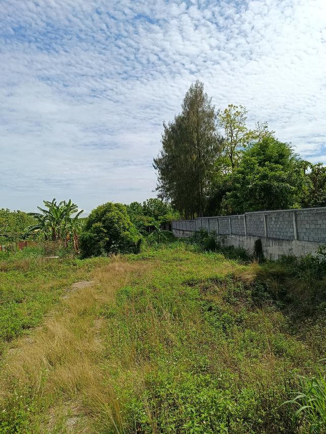 ที่ดินโฉนดเจ้าของขายเอง ปากช่อง กลางดง มวกเหล็ก 1