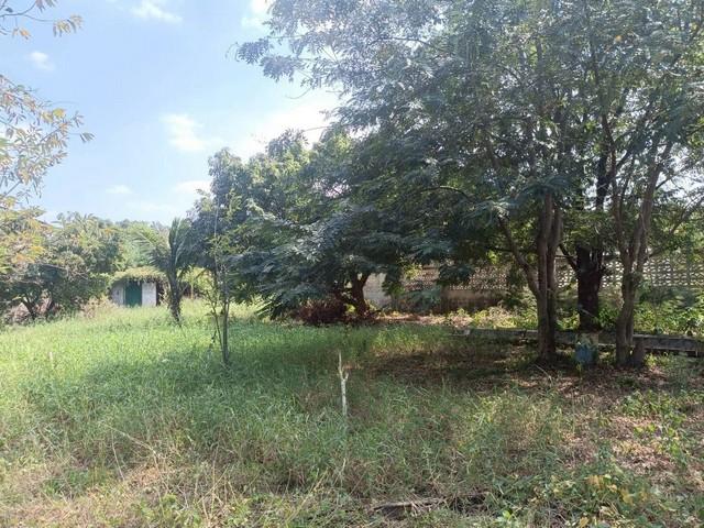 ขายที่ดินถมแล้ว เนื้อที่ 194 ตารางวา ถนนบรมราชชนนี ตำบลบางกระทึก อำเภอสามพราน จังหวัดนครปฐม 2