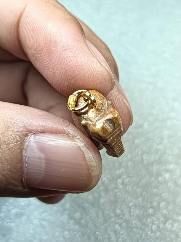 ช้างกระดูกแกะ หลวงพ่อพยุง วัดบัลลังก์ อ.หนองหญ้าไซ จ.สุพรรณบุรี ครับ 5