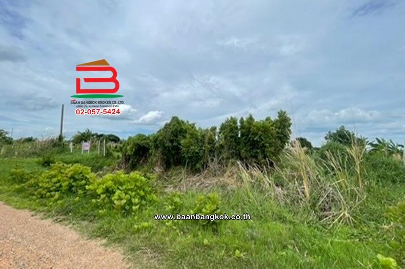 ที่ดินเปล่า เนื้อที่ 1-0-22 ไร่ ใกล้วัดประยงค์กิตติวนาราม ถนนประชาสำราญ แขวงคลองสิบสอง เขตหนองจอก 7