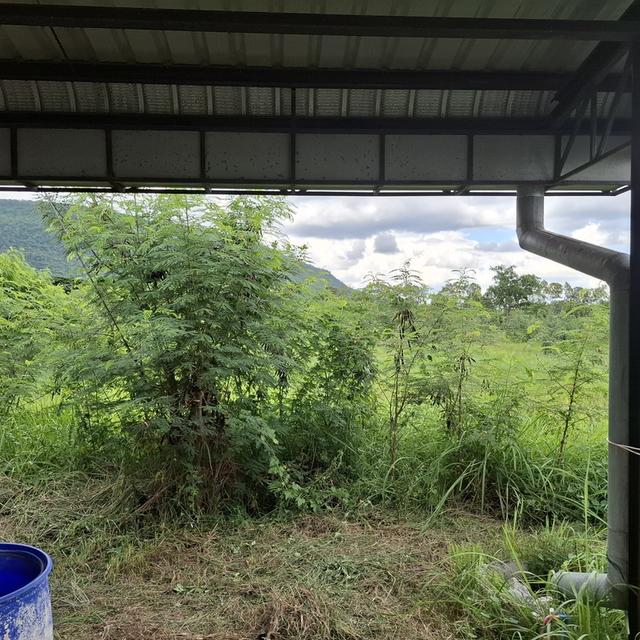 ขายที่ดินพร้อมโกดังติดวิวภูเขาสวยมากๆ 9